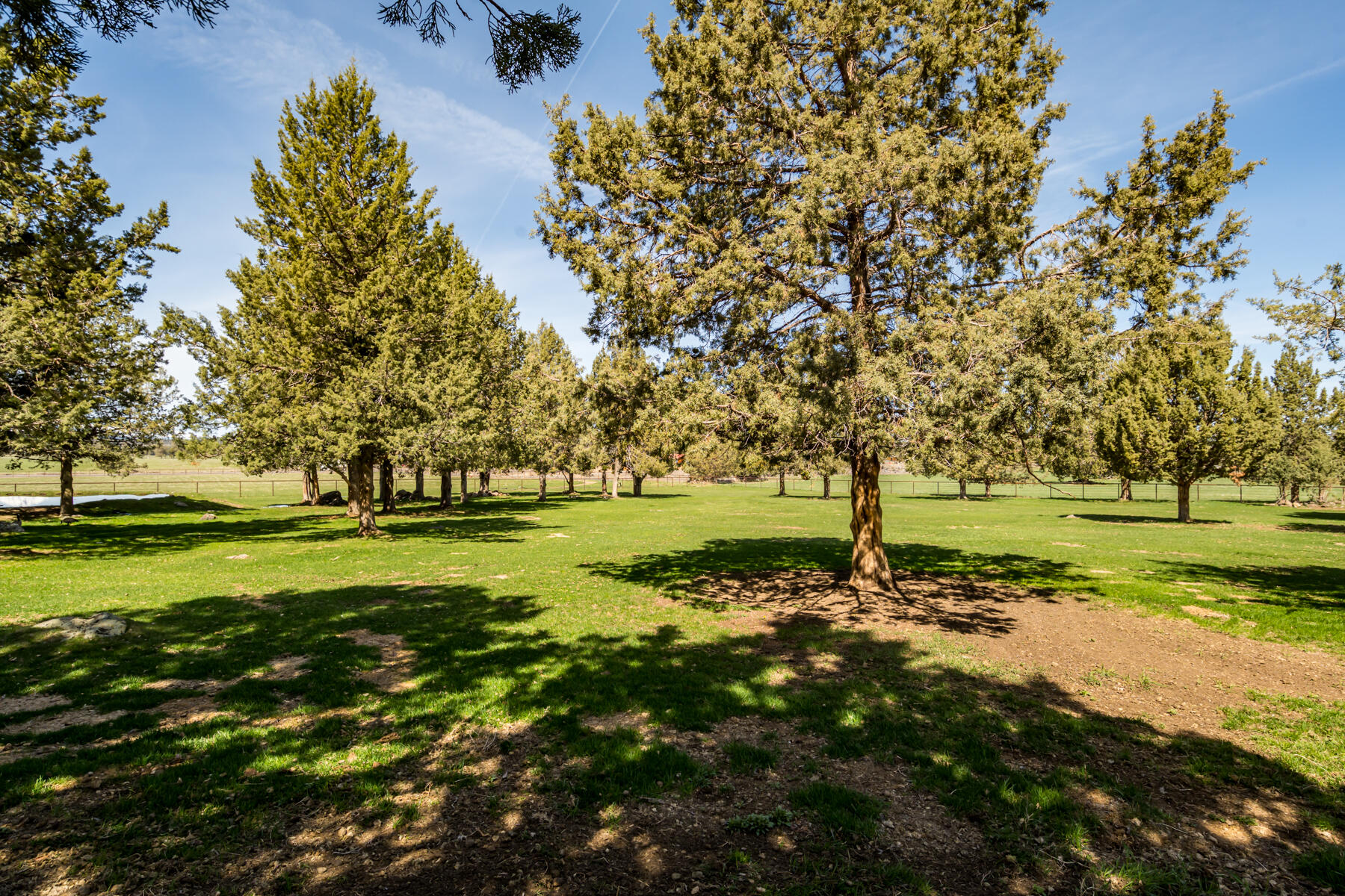 65900 Cline Falls Road Bend, OR 97703 - Photo 69 of 93 JH5_9052