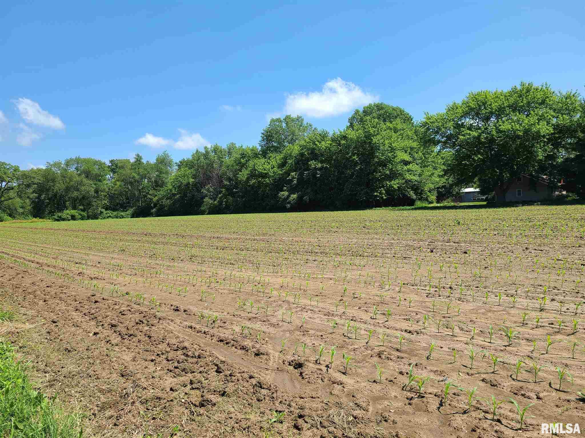 Lot 2-2nd Lot 2-2nd Add Wolf Road Colona, IL 61241 - Photo 1 of 3 Gallery Image 1