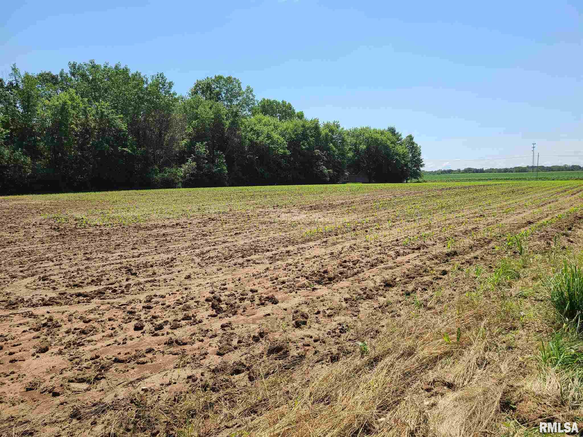 Lot 2-2nd Lot 2-2nd Add Wolf Road Colona, IL 61241 - Photo 2 of 3 Gallery Image 2
