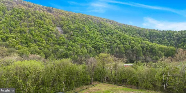 $875,000 | 14 Black Bear Road, Maurertown, VA 22644