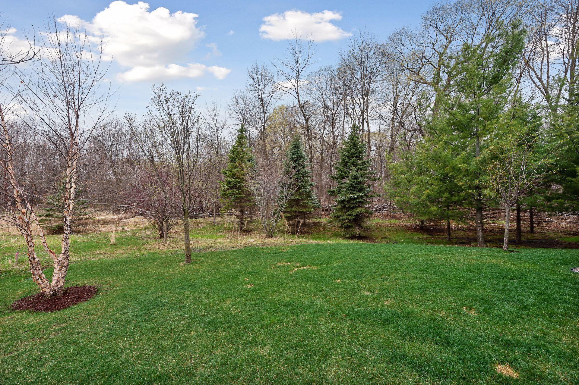 3075 Wild Flower Trail Medina, MN 55340 - Photo 57 of 69