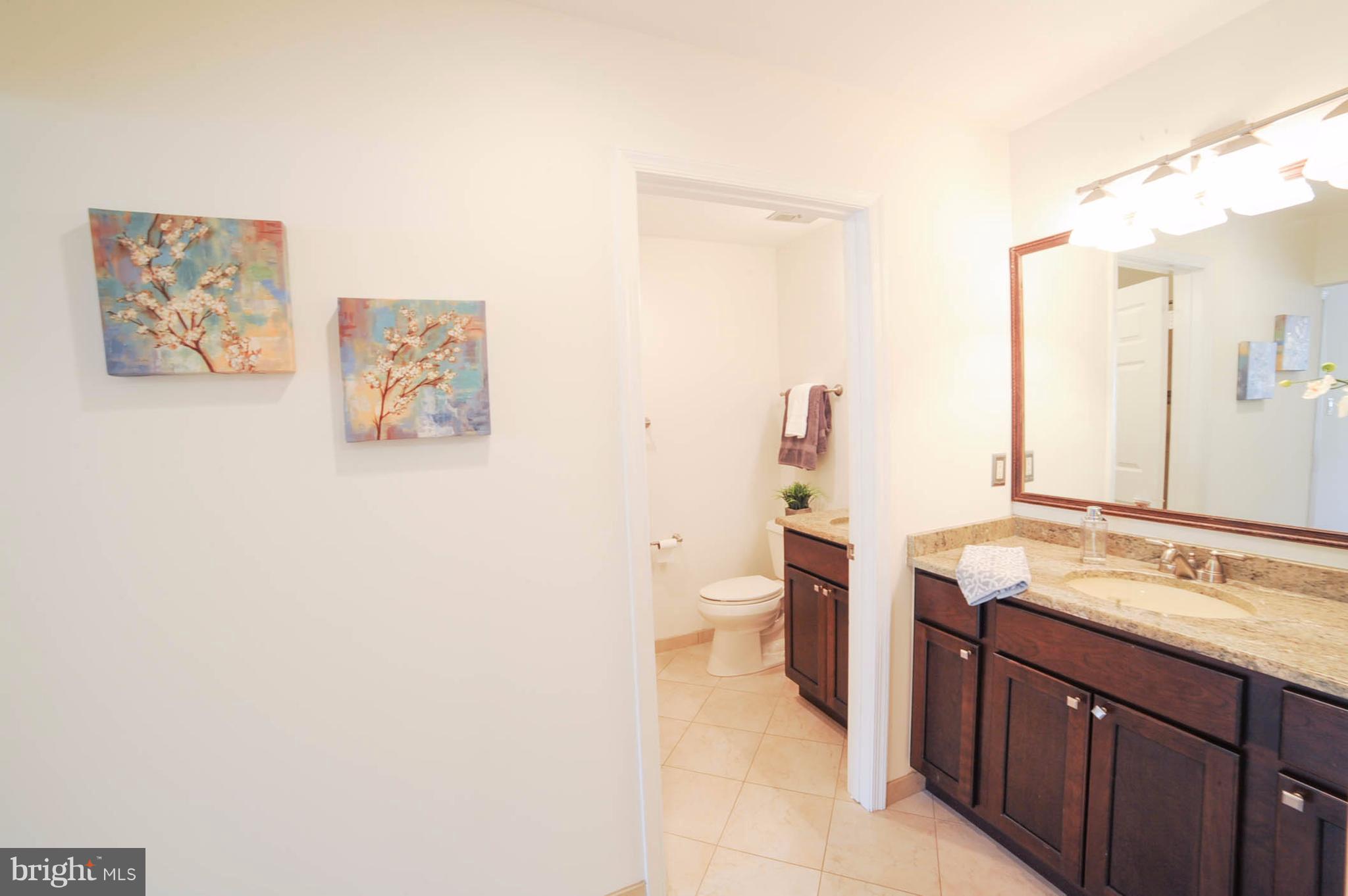 8303 Lindside Way Springfield, VA 22153 - Photo 17 of 30 Bath (Master)