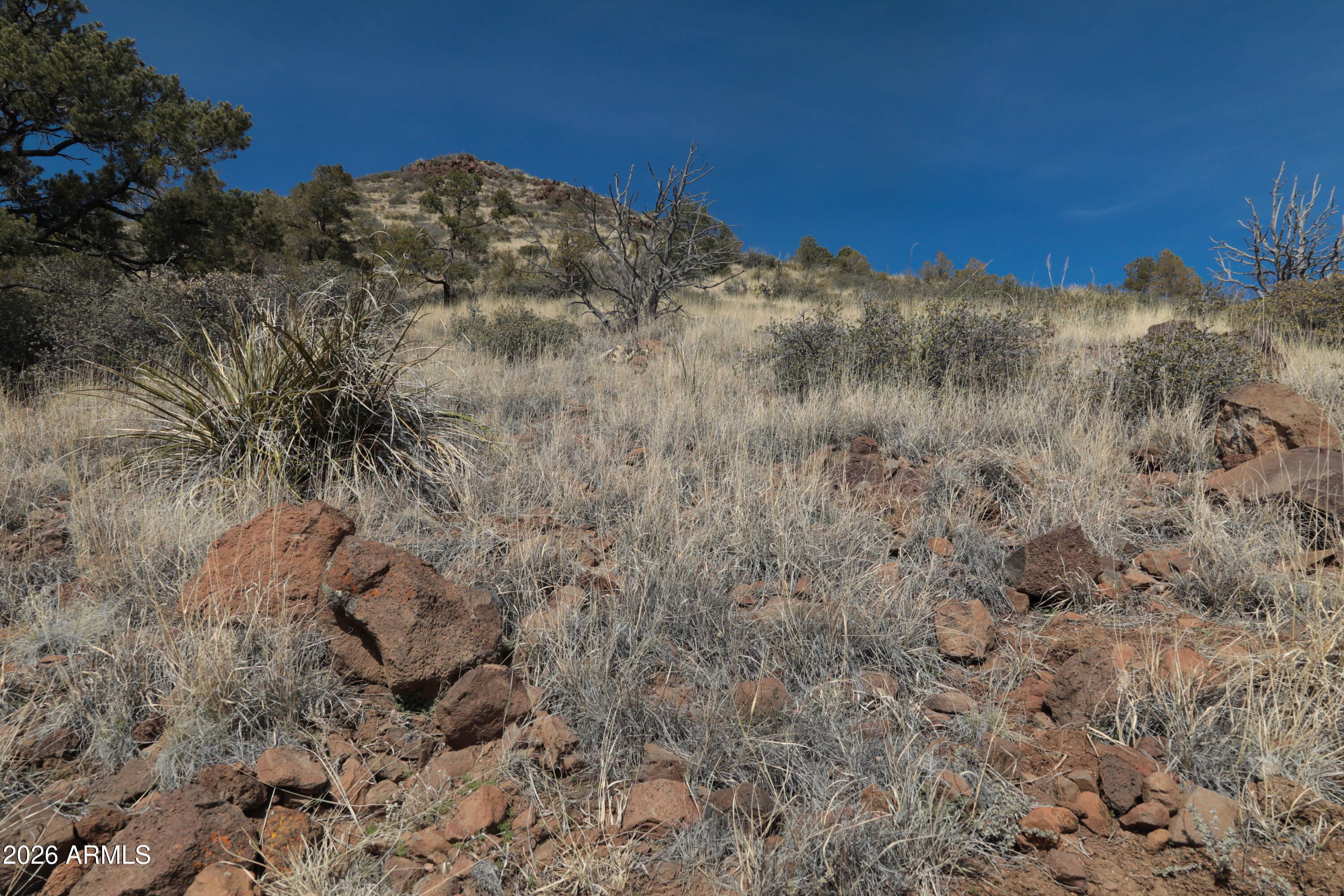 2588 West Black Ridge Trail, Unit 30 Prescott, AZ 86305 - Photo 19 of 32 a view of a field