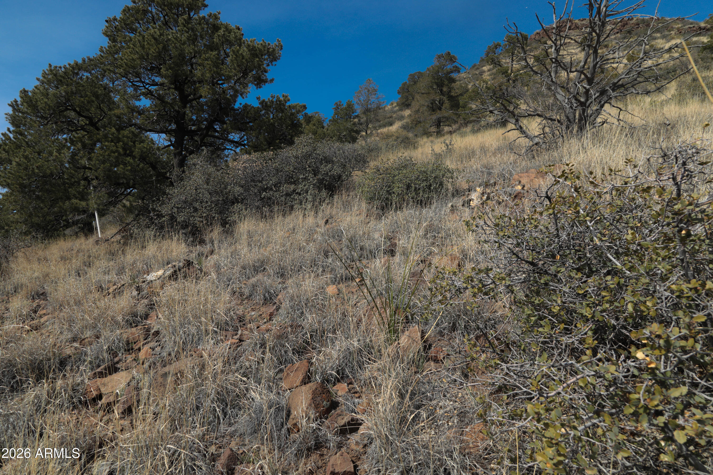 2588 West Black Ridge Trail, Unit 30 Prescott, AZ 86305 - Photo 20 of 32 a view of a dry field with trees in the background