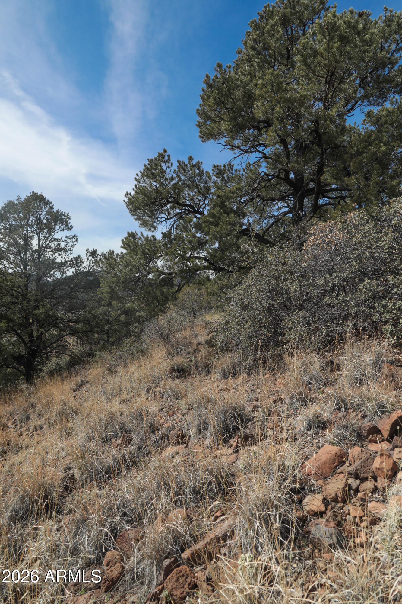 2588 West Black Ridge Trail, Unit 30 Prescott, AZ 86305 - Photo 22 of 32 a view of a dry yard with trees