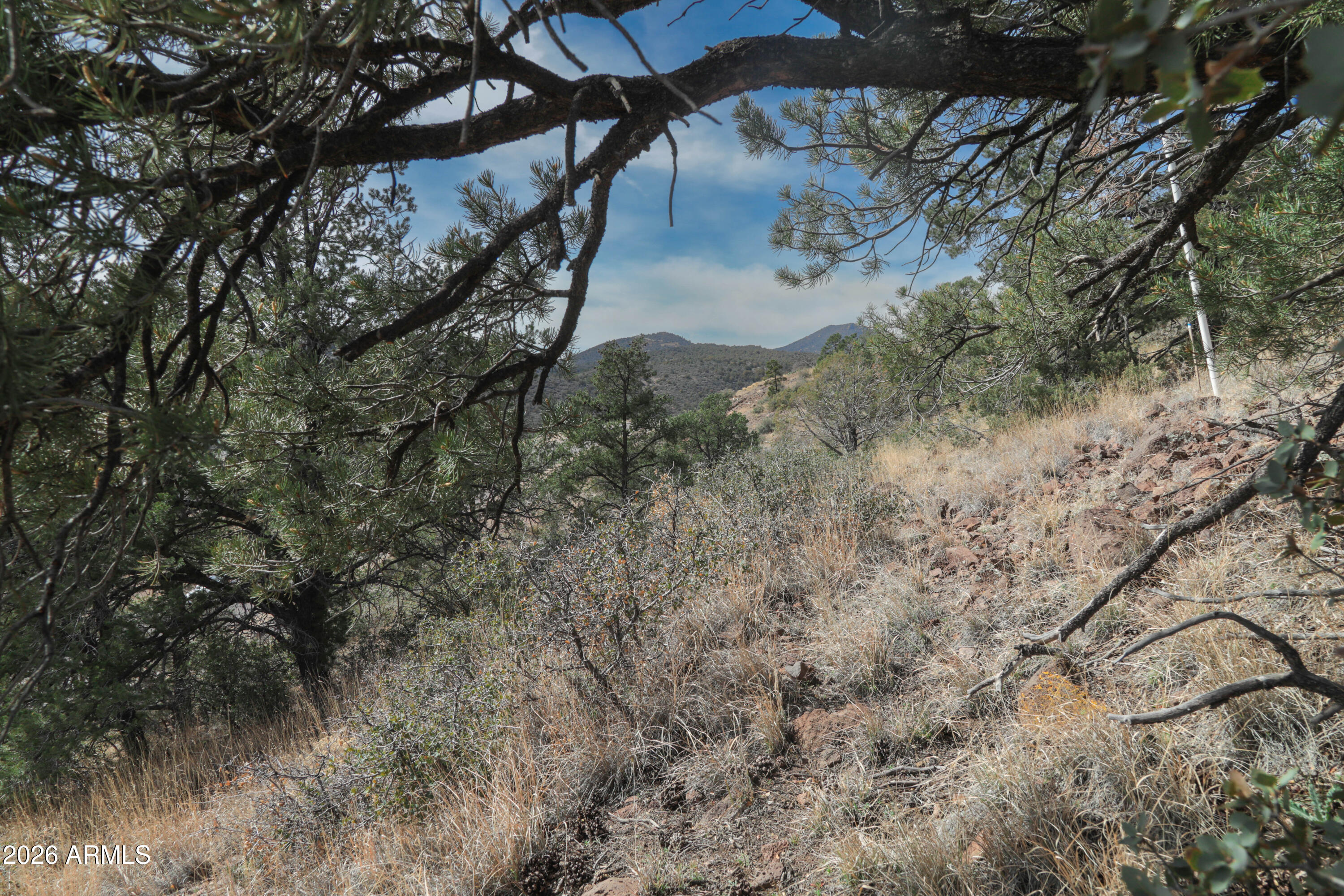 2588 West Black Ridge Trail, Unit 30 Prescott, AZ 86305 - Photo 25 of 32 a view of a dry yard