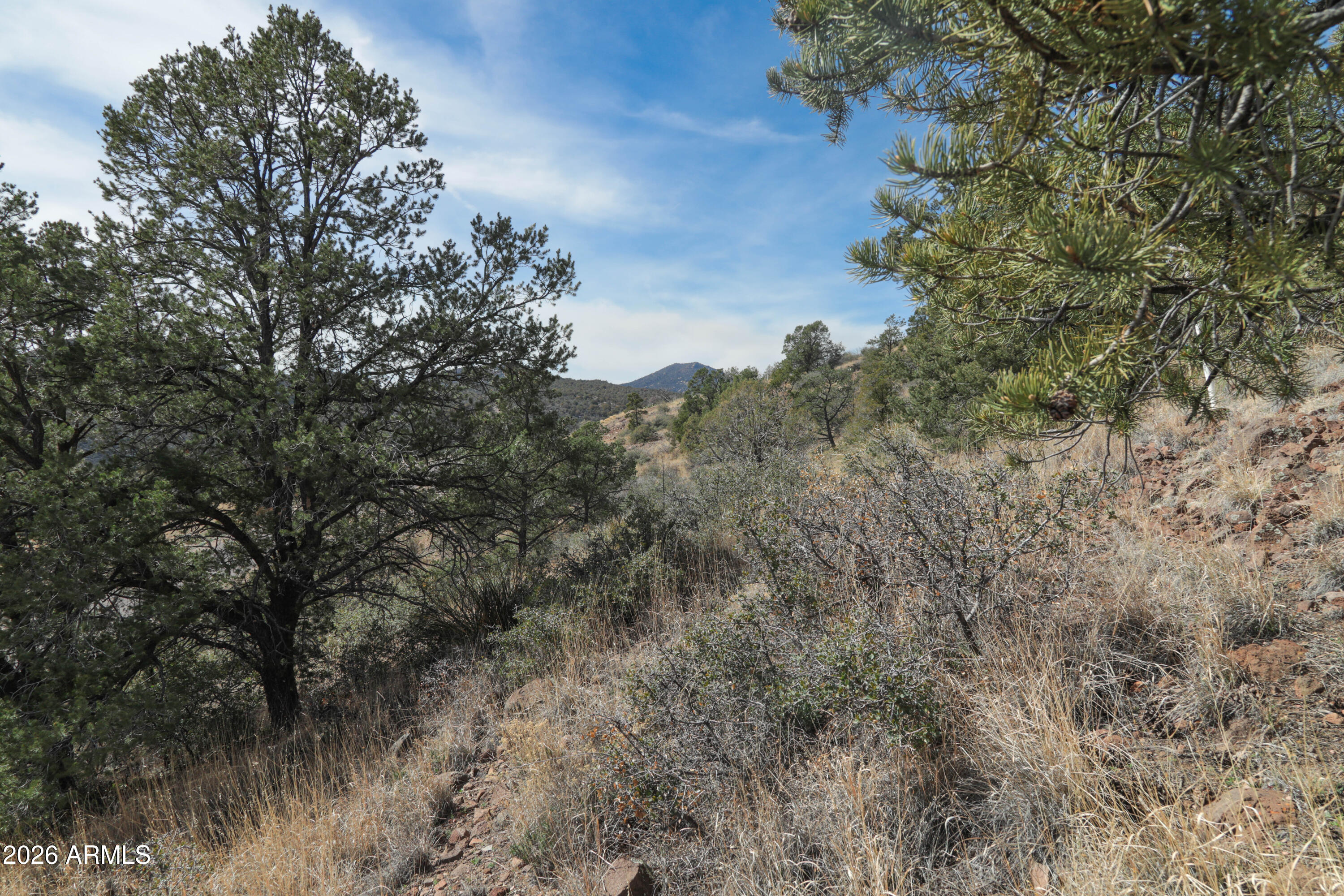 2588 West Black Ridge Trail, Unit 30 Prescott, AZ 86305 - Photo 26 of 32 a view of a yard in a forest