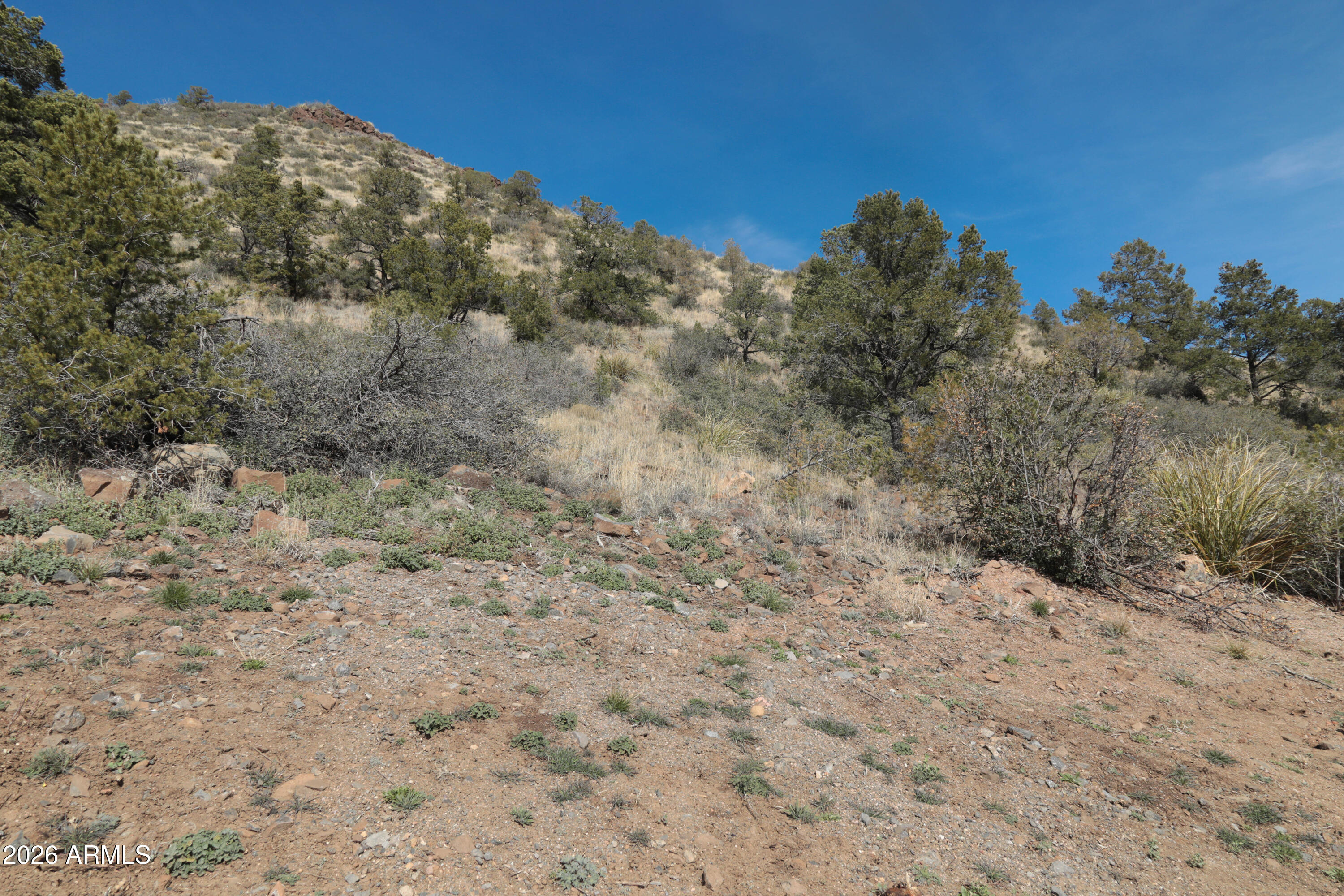 2588 West Black Ridge Trail, Unit 30 Prescott, AZ 86305 - Photo 29 of 32 a view of a dry yard