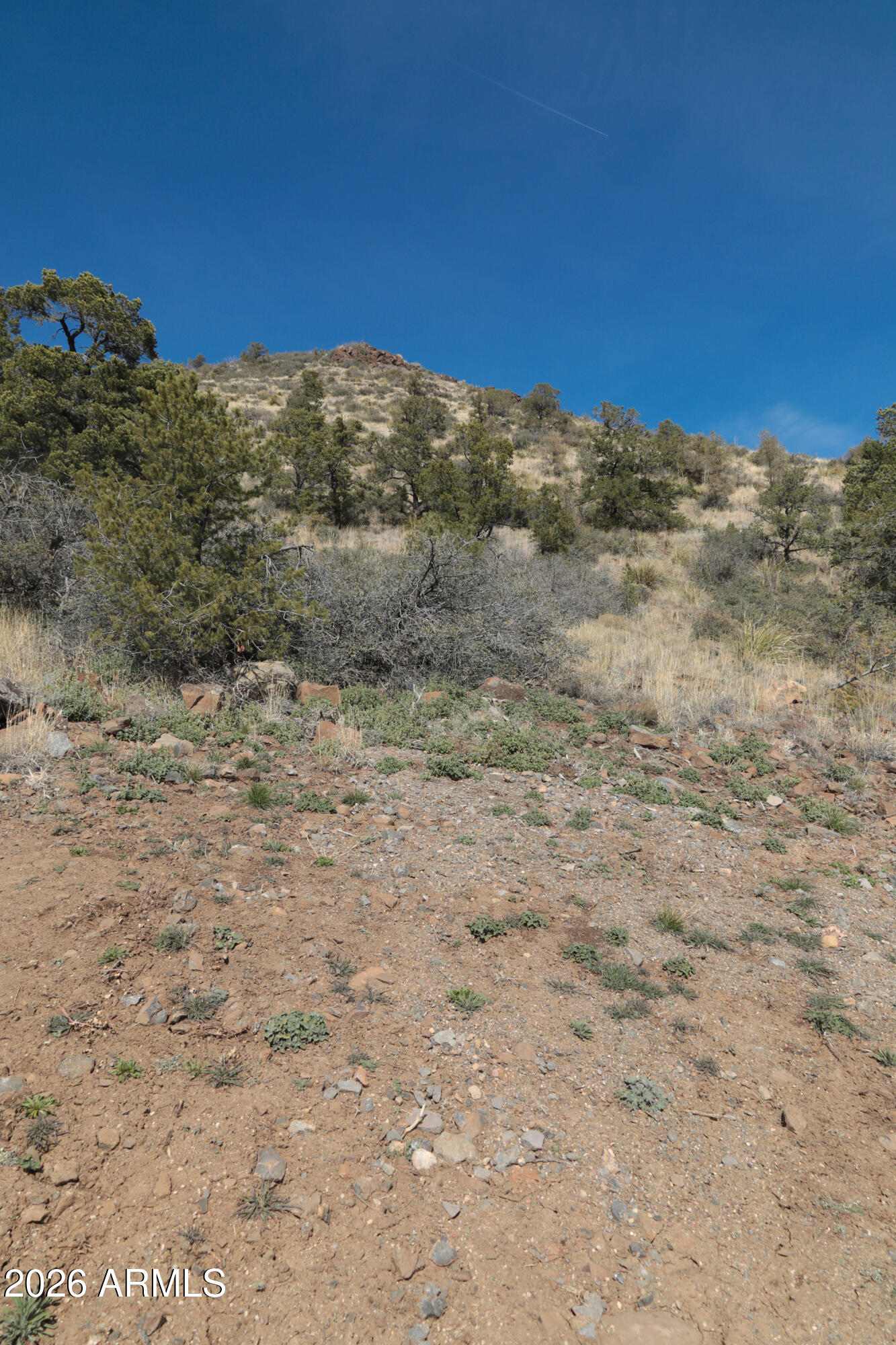 2588 West Black Ridge Trail, Unit 30 Prescott, AZ 86305 - Photo 30 of 32 a view of a dry yard