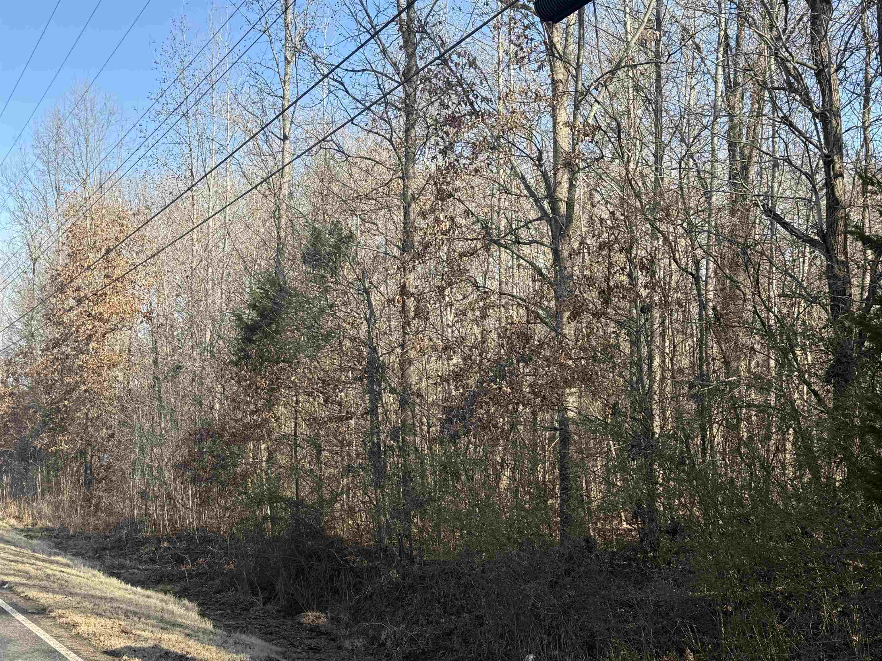 0 Commander Drive Arlington, TN 38002 - Photo 6 of 6 a view of forest