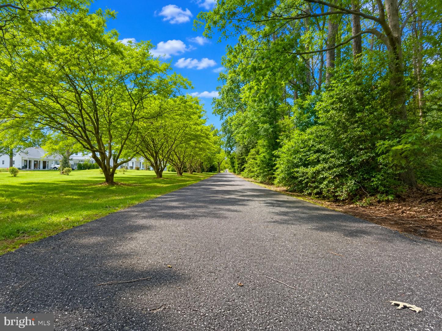 6706 Thorneton Road St. Michaels, MD 21663 - Photo 4 of 14
