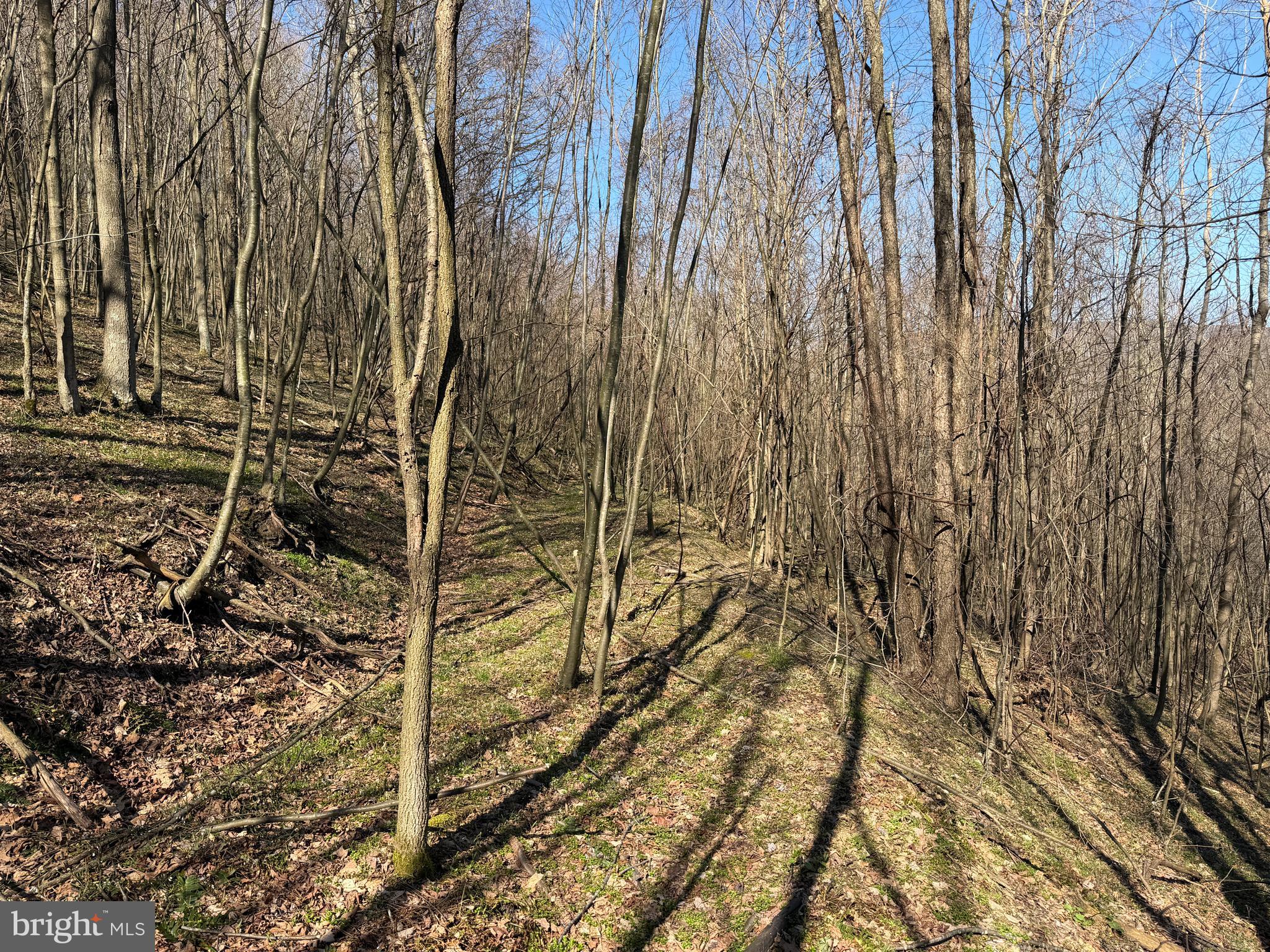 129-acres Black Hollow Road Schellsburg, PA 15559 - Photo 51 of 72
