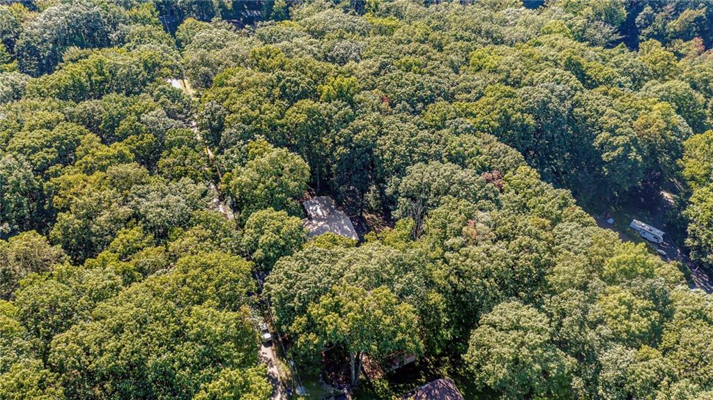 218 Horse Shoe Bend Road Acme, PA 15610 - Photo 29 of 31 a view of a forest with a tree