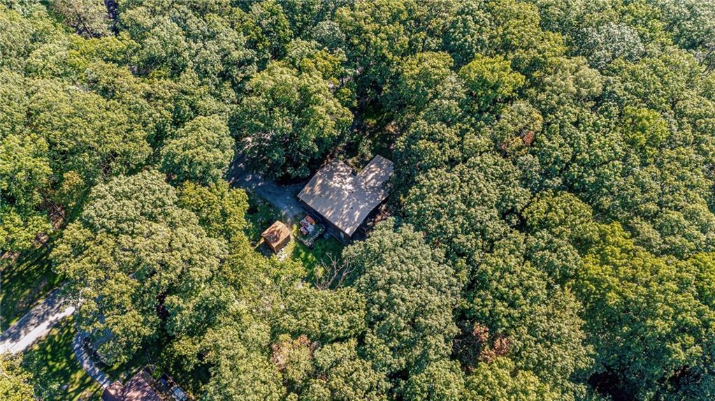 218 Horse Shoe Bend Road Acme, PA 15610 - Photo 30 of 31 a picture of a tree