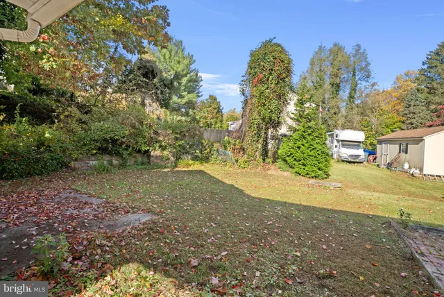 a view of a yard with plants and trees