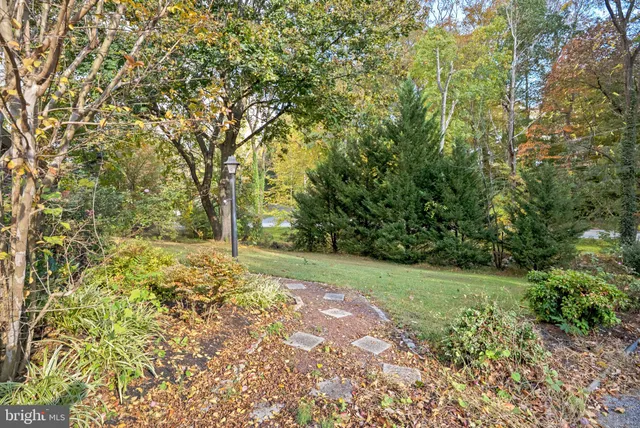 a view of a yard with a trees