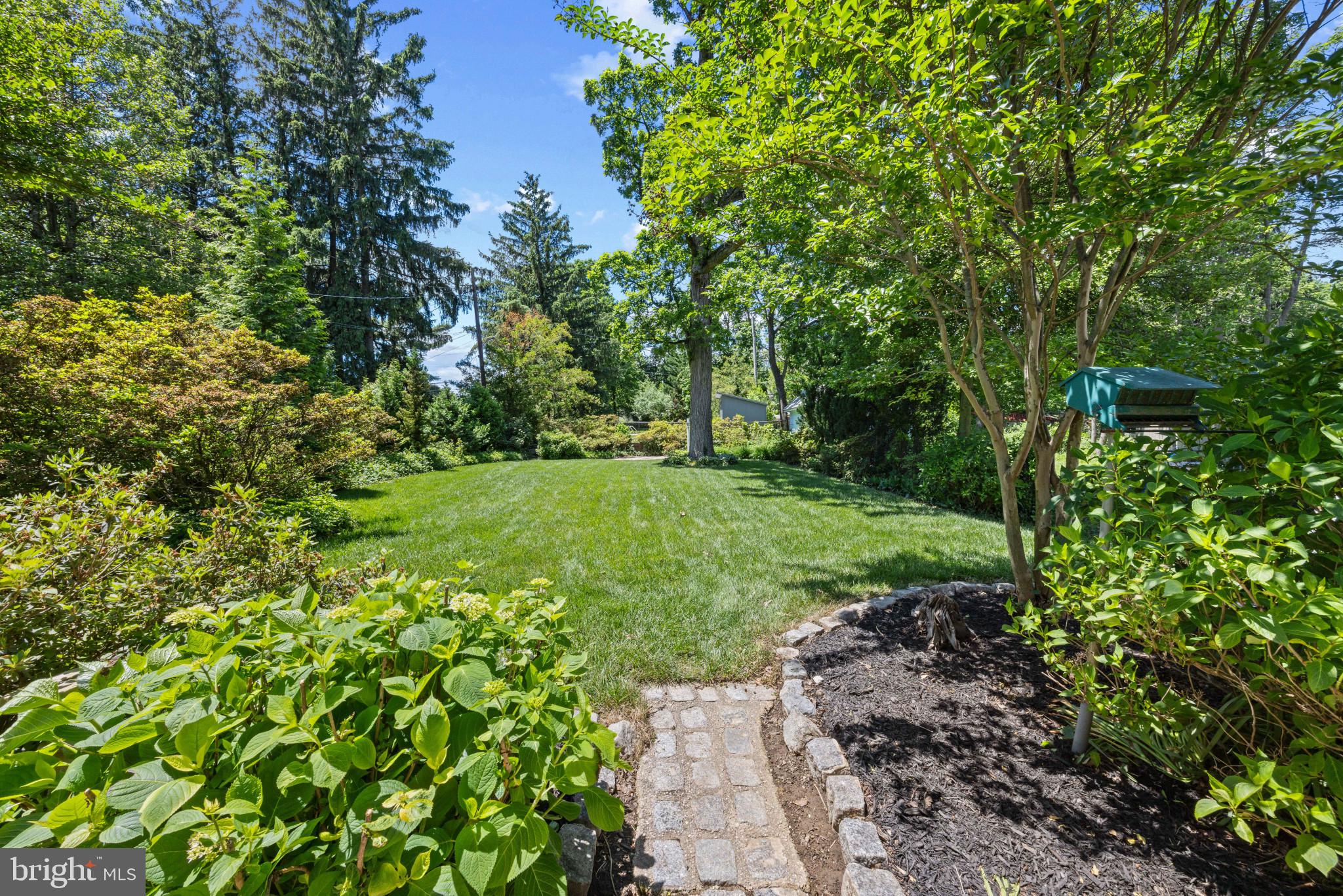 6506 Beverly Road Baltimore, MD 21239 - Photo 49 of 66 Backyard