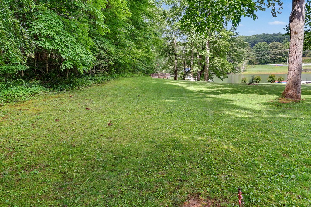2255 Thunder Oak Road Young Harris, GA 30582 - Photo 77 of 85