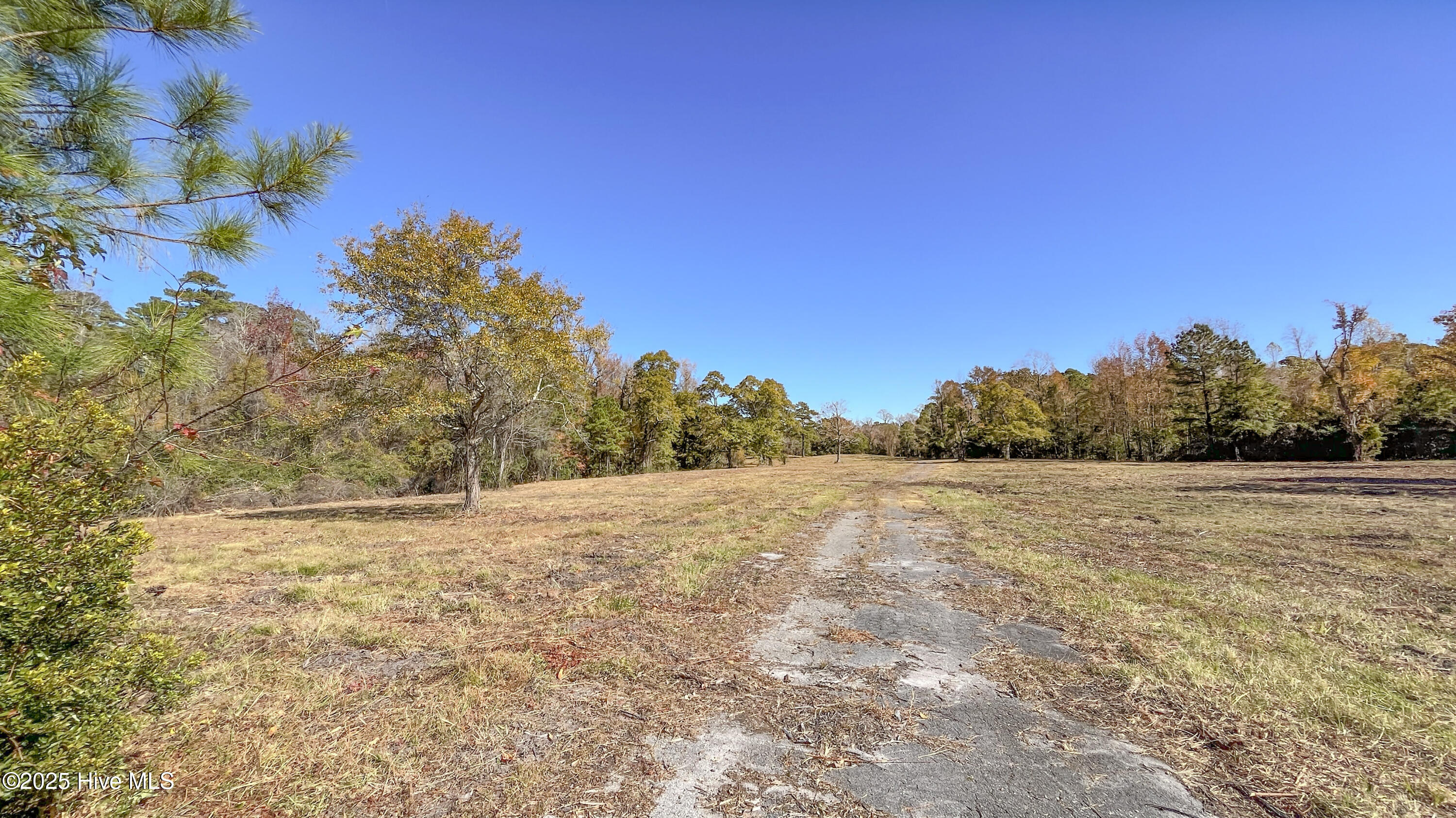 0 Piney Green Road Jacksonville, NC 28546 - Photo 7 of 16 Land