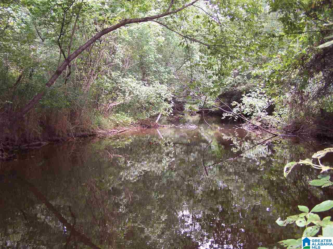 0 Jackson Trail, Unit 140 ACRES Altoona, AL 35952 - Photo 19 of 50