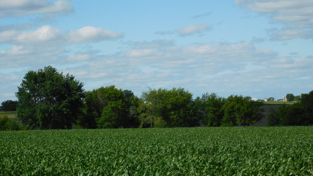 0 University Road Shabbona, IL 60556 - Photo 9 of 12 a view of a field of grass and trees