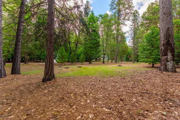 a view of a park