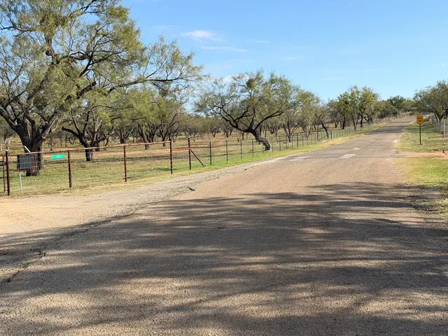 a view of road with trees