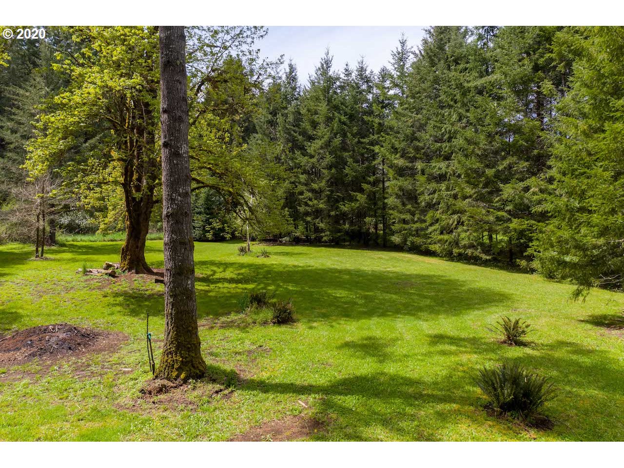 80944 Lost Creek Road Dexter, OR 97431 - Photo 24 of 32 Gallery Image 24