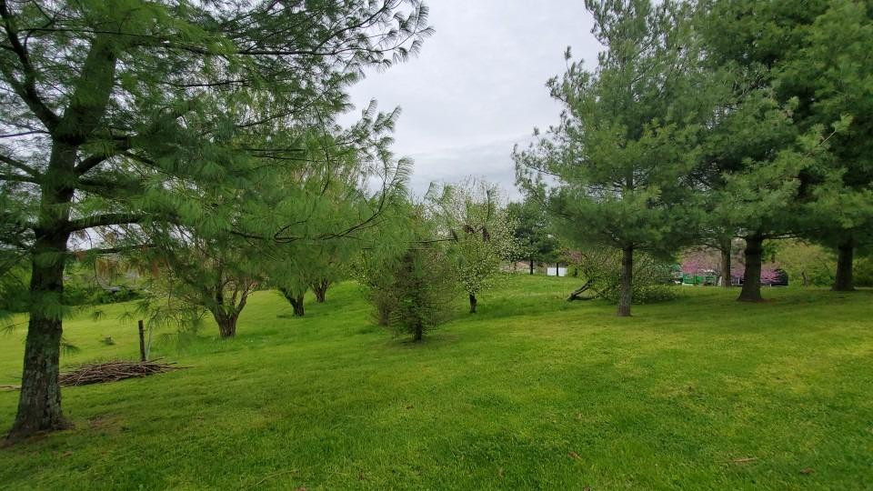10341 Richmond Road Paint Lick, KY 40461 - Photo 4 of 25 Photo 4