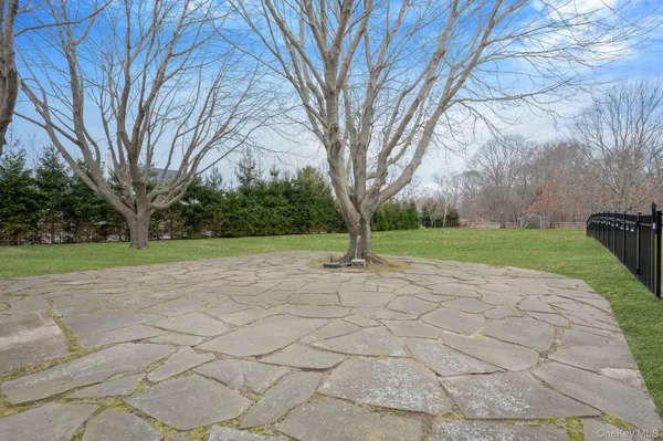 a view of backyard with tree