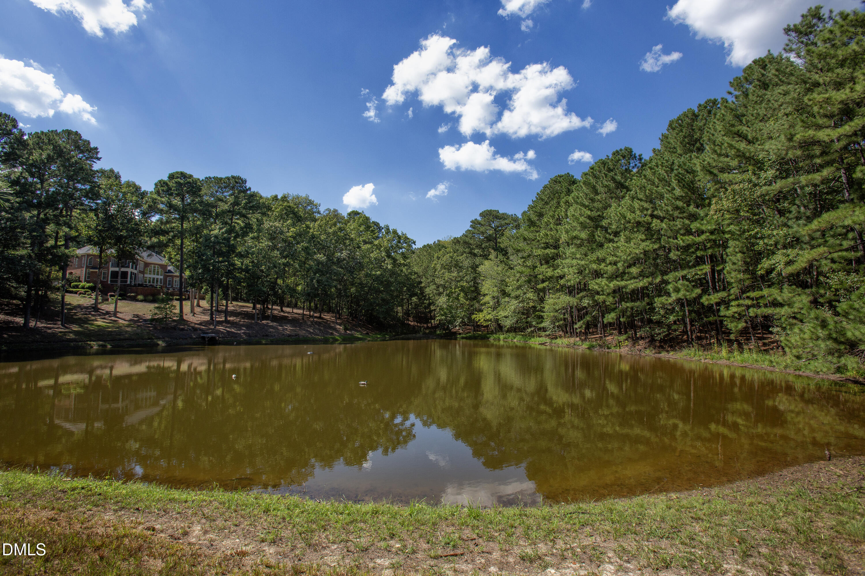1716 Brassfield Road Raleigh, NC 27614 - Photo 32 of 74 Brassfield 15