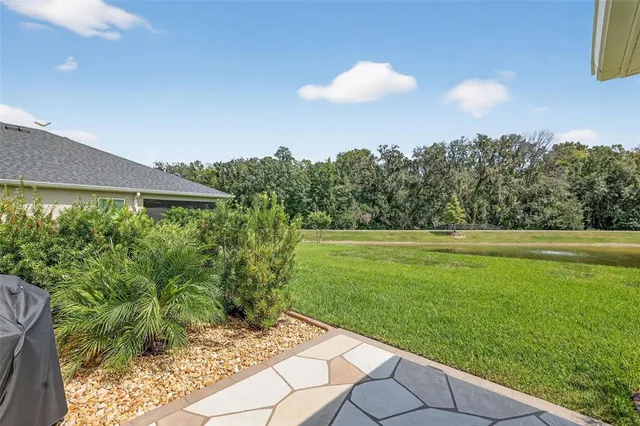 a view of a backyard with plants and a lake view