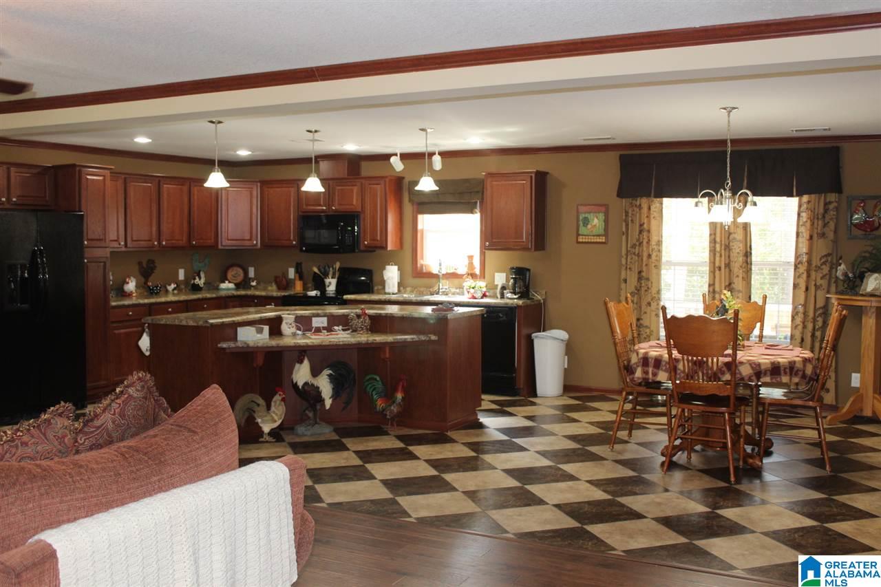 4645 Old Pineywoods Road Jasper, AL 35504 - Photo 4 of 29