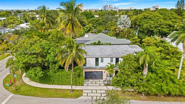 a view of a backyard with plants and large trees