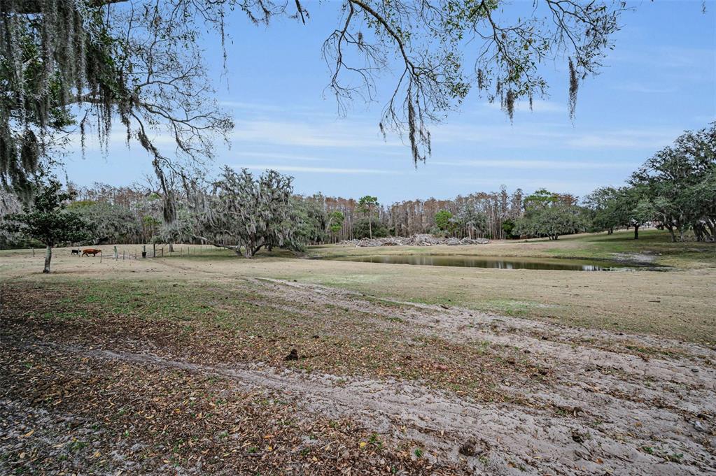 7230 Old Homestead Road New Port Richey, FL 34654 - Photo 97 of 99 Gallery Image 97