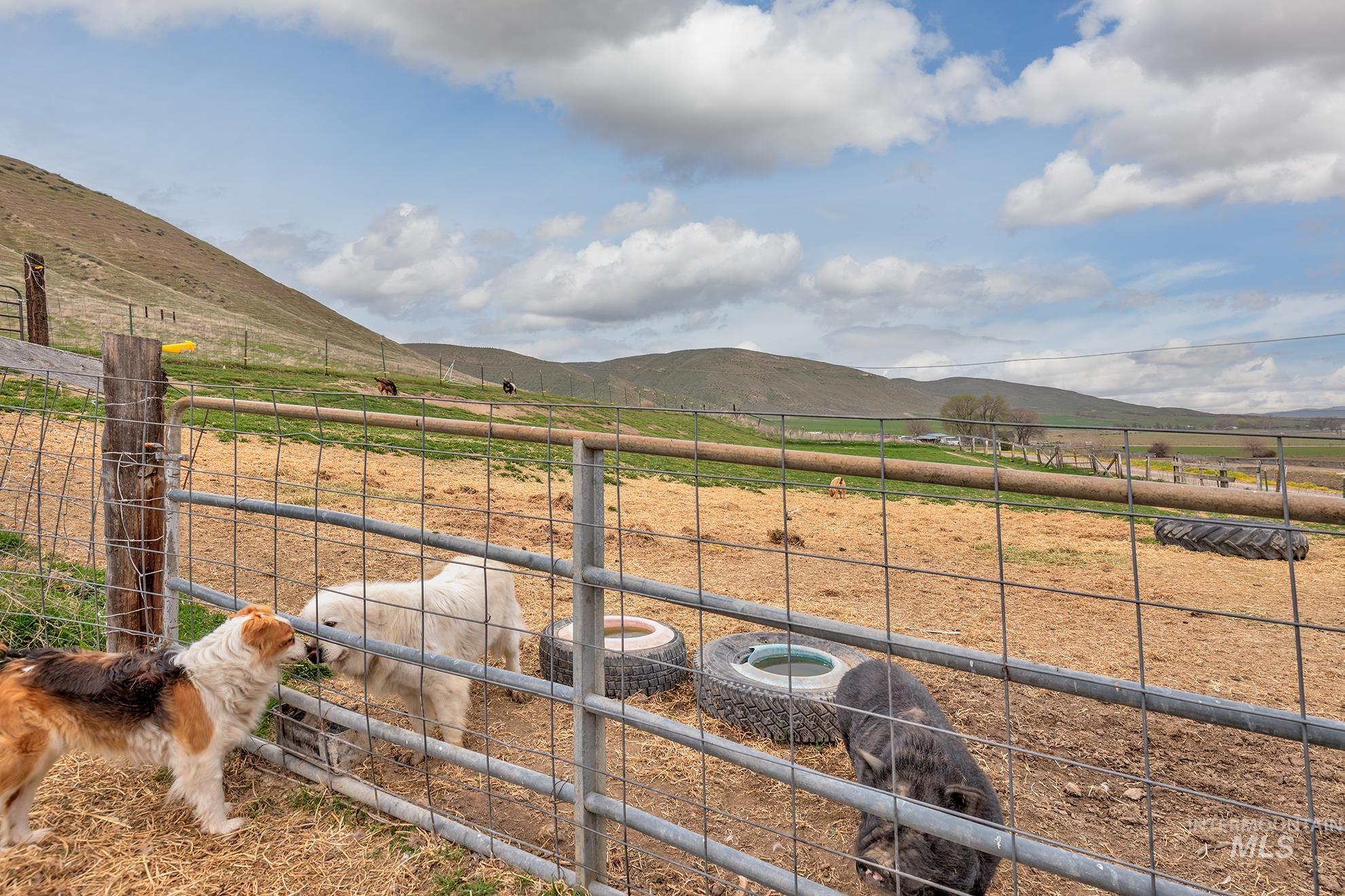 1492 Weiser River Road Weiser, ID 83672 - Photo 45 of 50