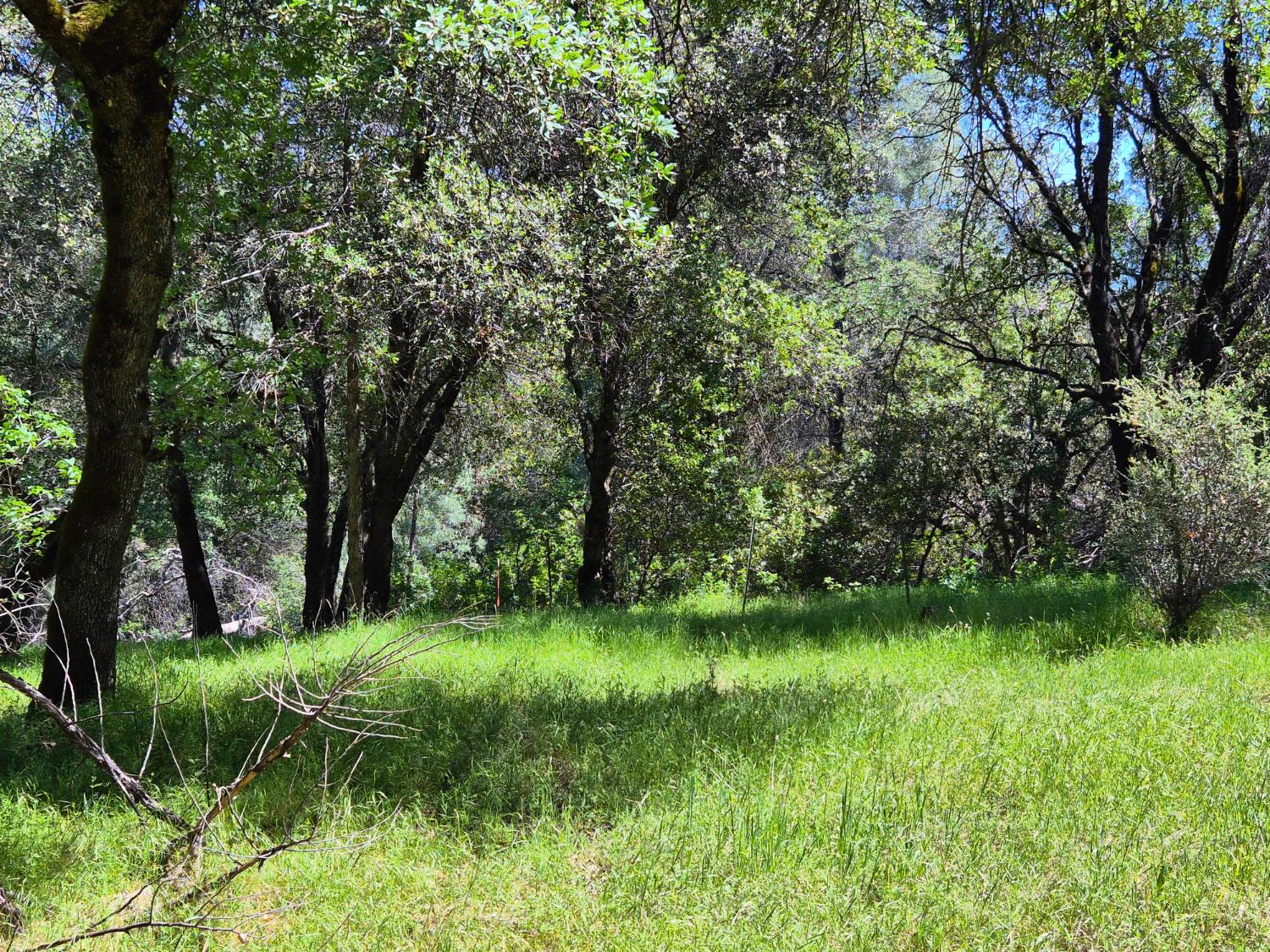 9568 Sheep Ranch Road Mountain Ranch, CA 95246 - Photo 25 of 34 Gallery Image 25