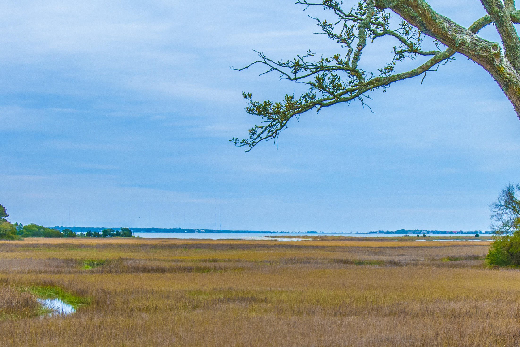 370 Sweetgrass Creek Road Charleston, SC 29412 - Photo 15 of 42 _DSC1009