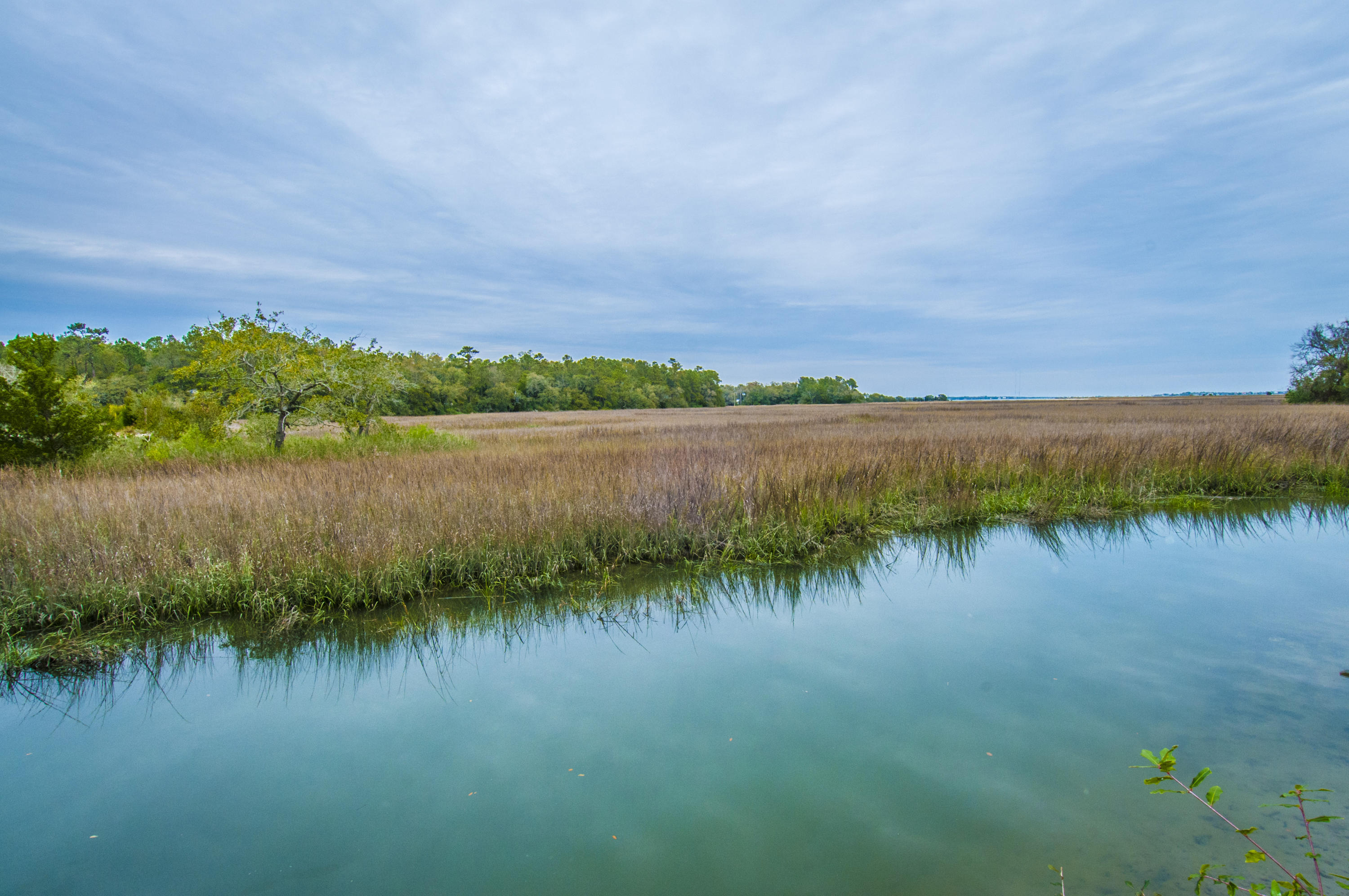 370 Sweetgrass Creek Road Charleston, SC 29412 - Photo 10 of 42 _DSC1000