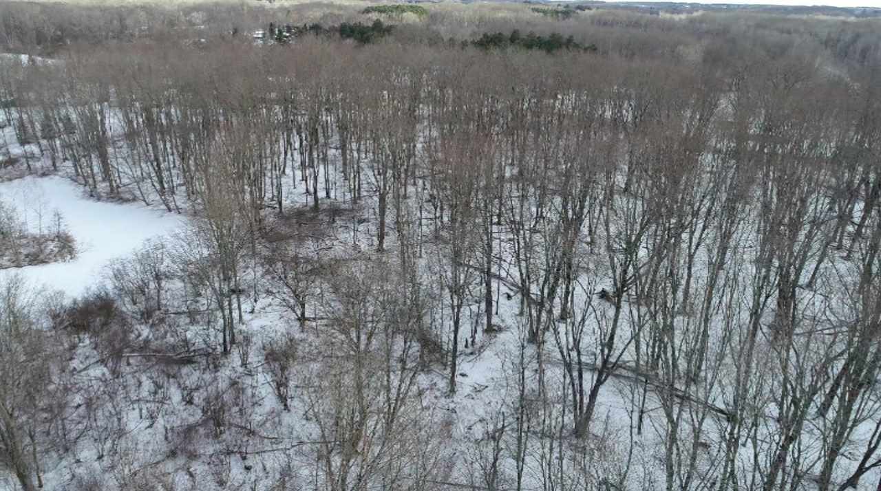 0 Madison Road Barryton, MI 49332 - Photo 3 of 11
