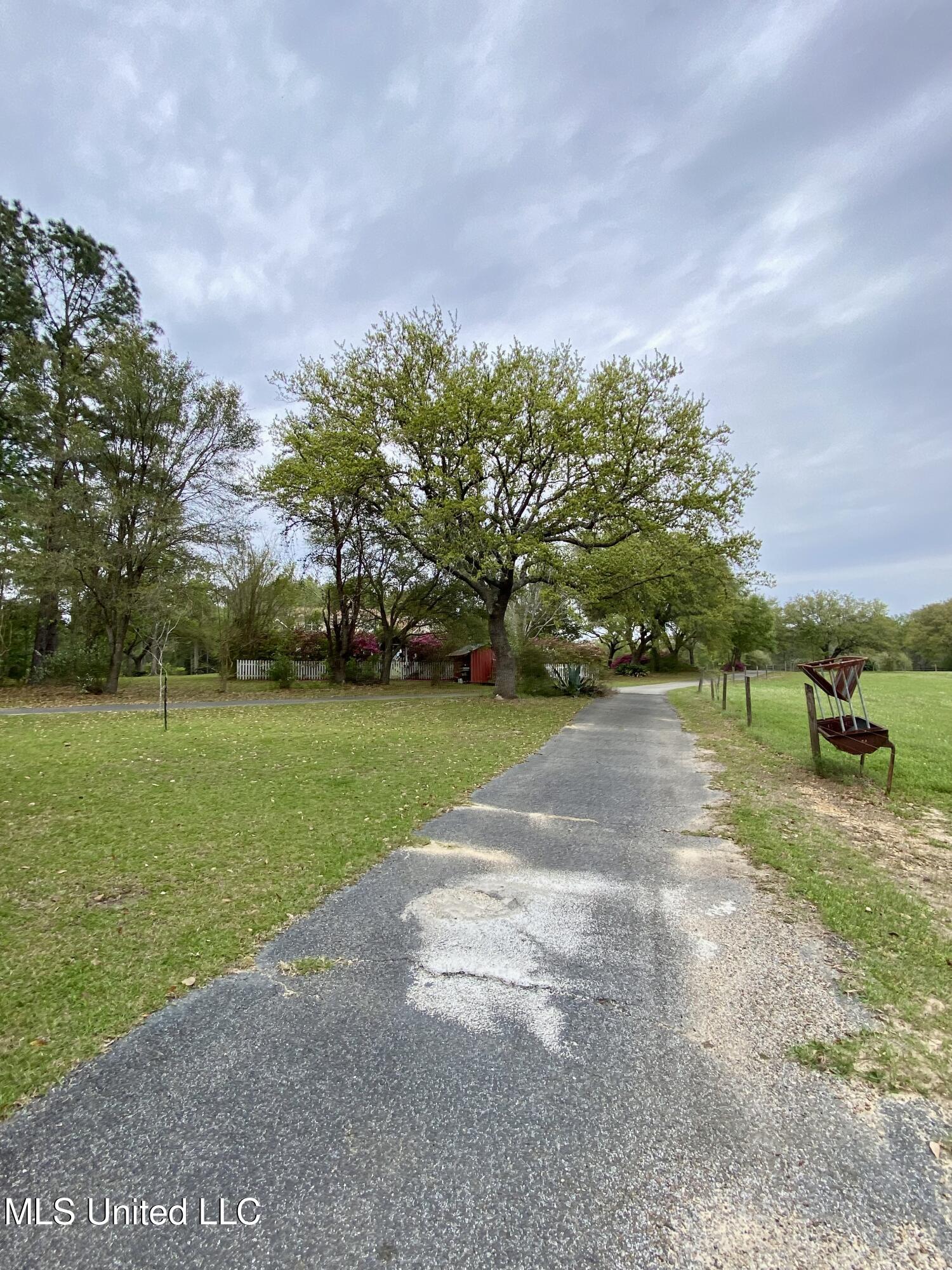 299 Quitman Perry Road Carriere, MS 39426 - Photo 77 of 79 73, Driveway, IMG_2843
