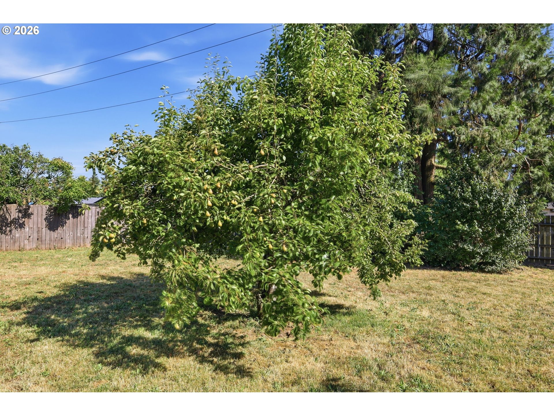 2063 2nd Street Springfield, OR 97477 - Photo 43 of 45