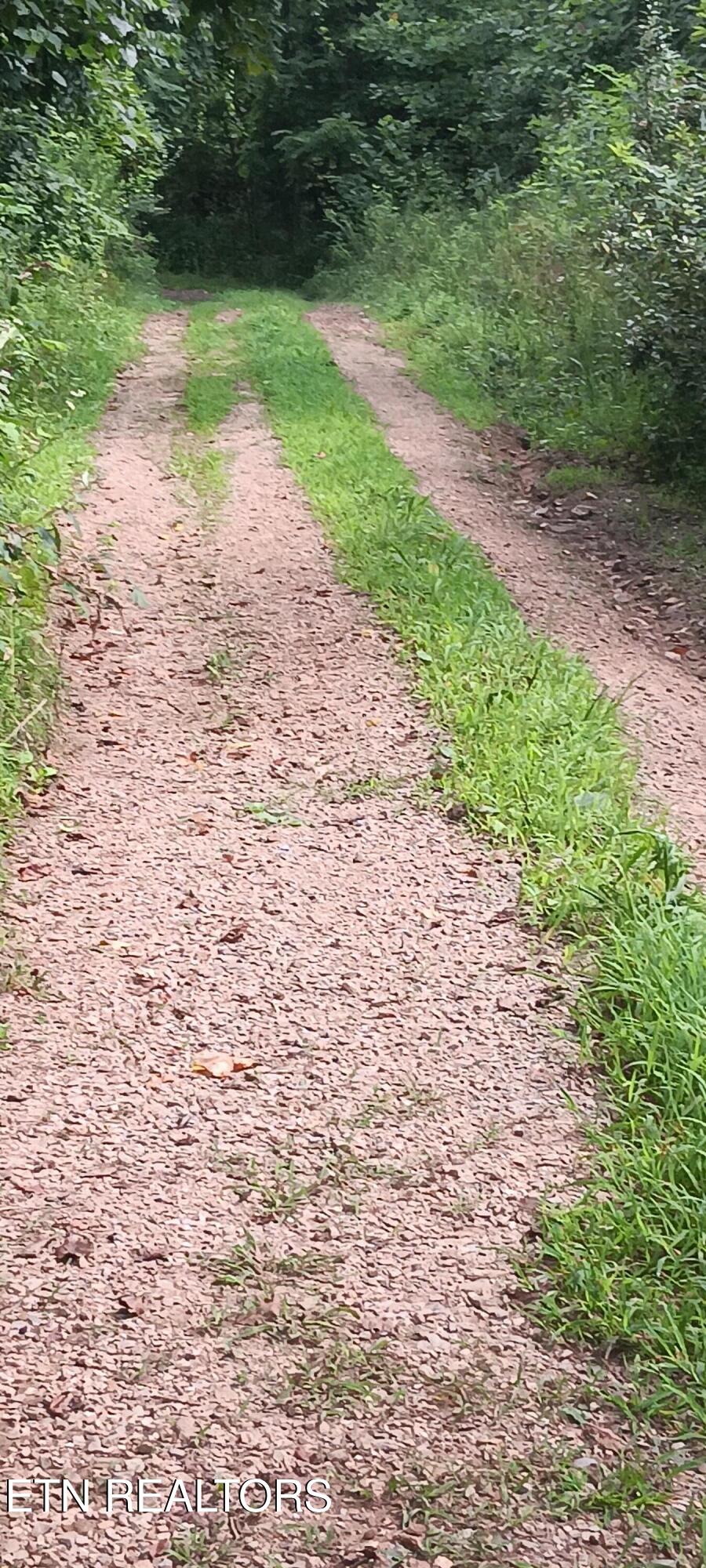 1133 Wheeler Road Harrogate, TN 37752 - Photo 20 of 32 20260717_104631