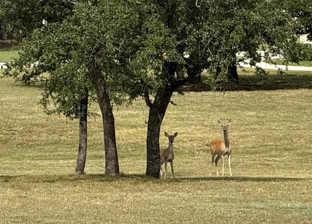 a view of ocean view