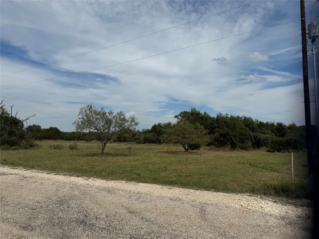 a view of a field with grass and trees