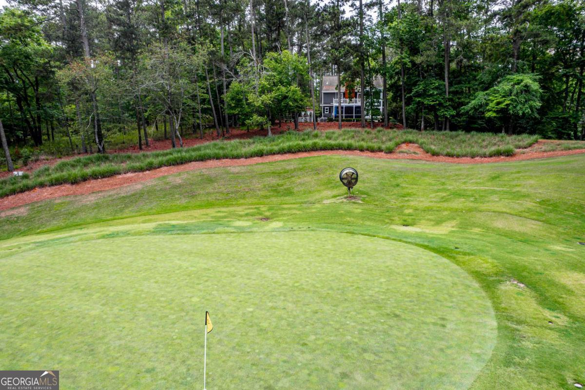 1241 Cedar Ridge Drive Greensboro, GA 30642 - Photo 6 of 66