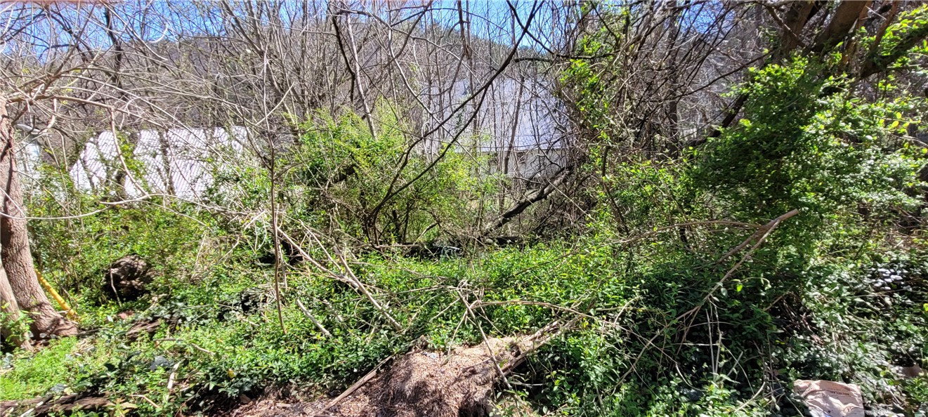 227 2nd Street Newry, SC 29672 - Photo 2 of 2