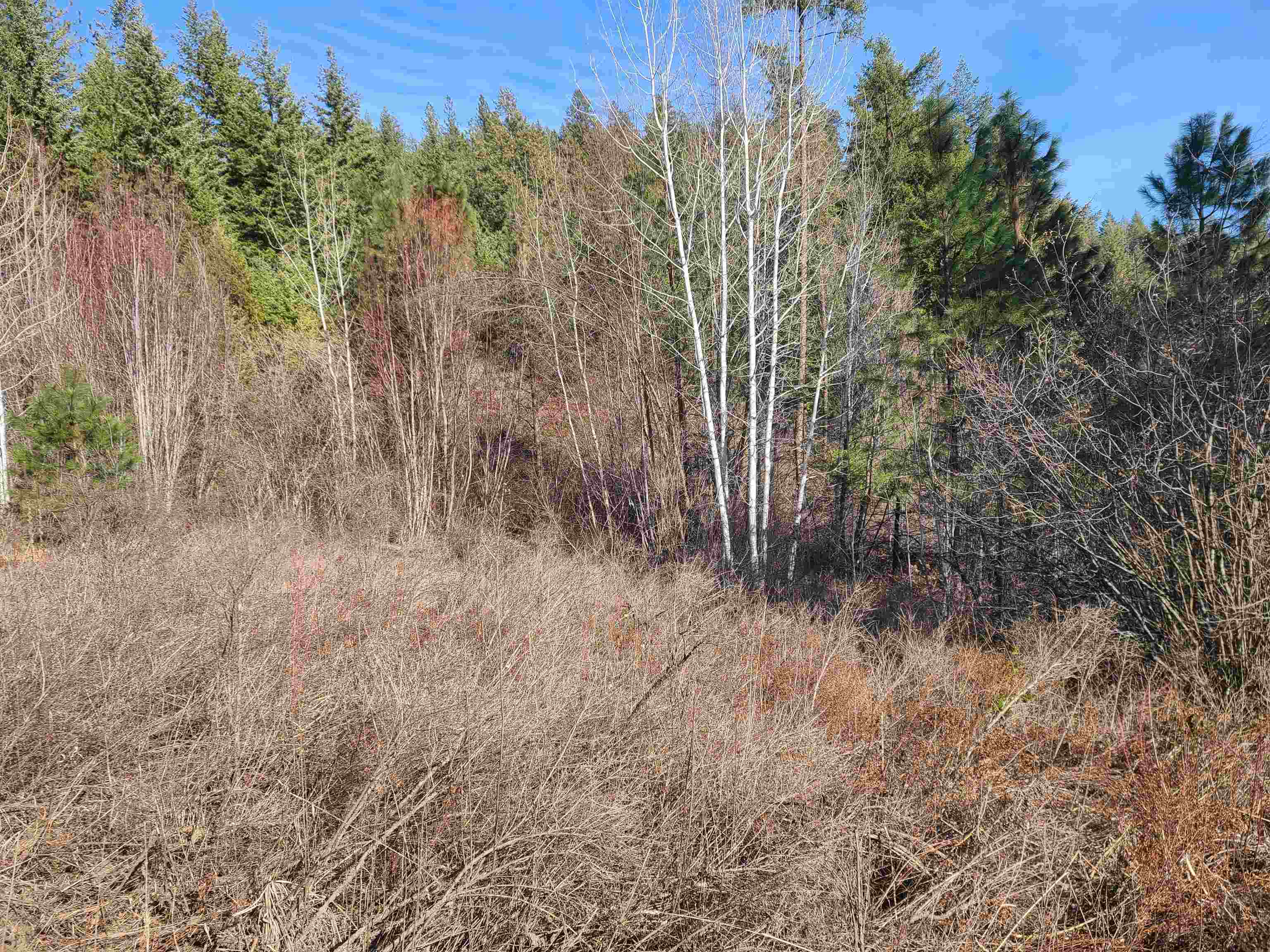2584 F Bridgeman-Rettinger Road Kettle Falls, WA 99141 - Photo 10 of 21