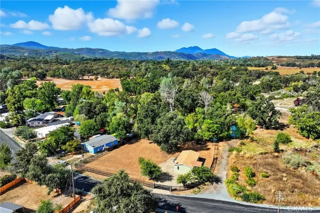 a view of a garden with mountains in the background
