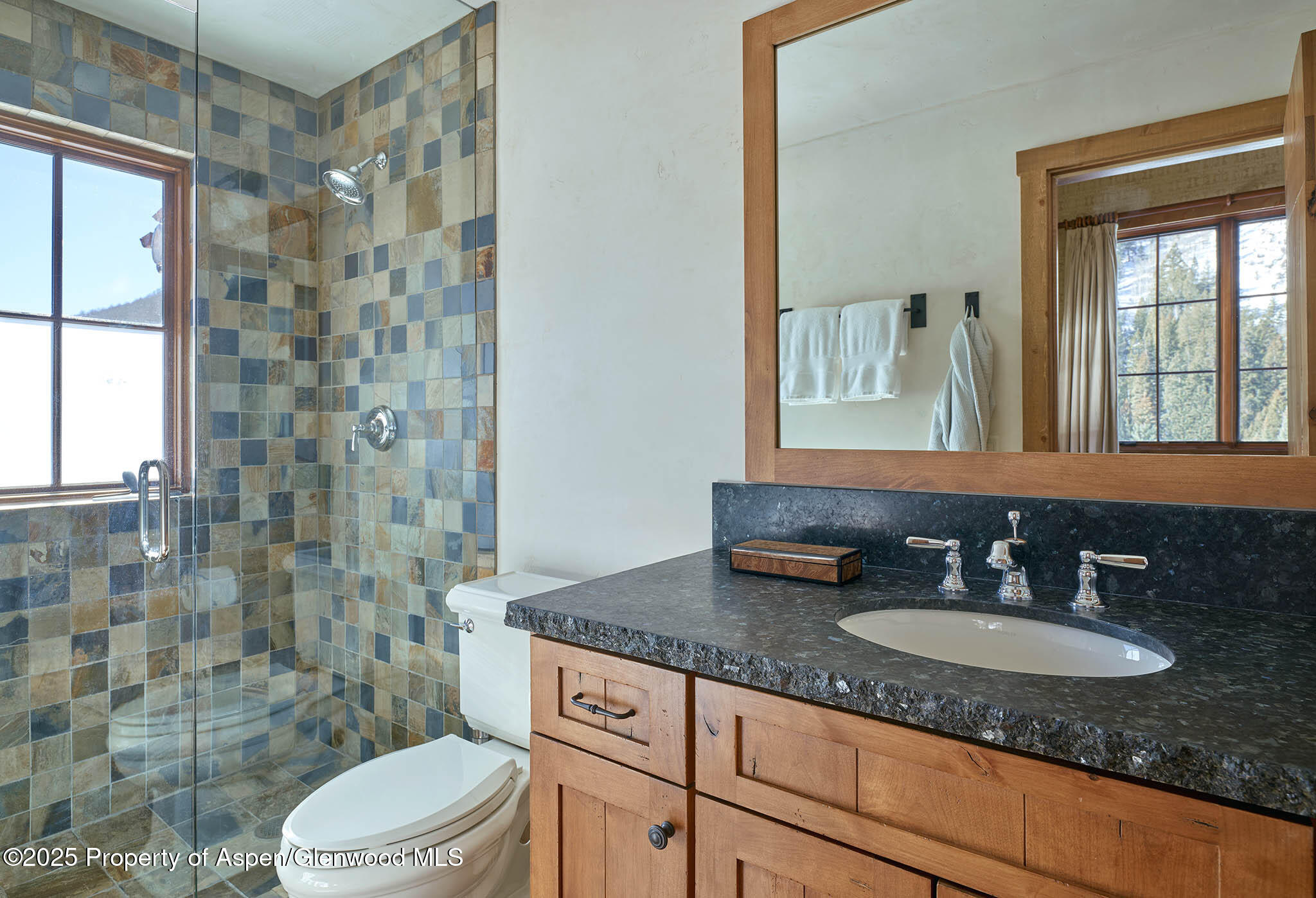 125 Rooney Circle Aspen, CO 81612 - Photo 56 of 56 a bathroom with a granite countertop sink a toilet a mirror and shower